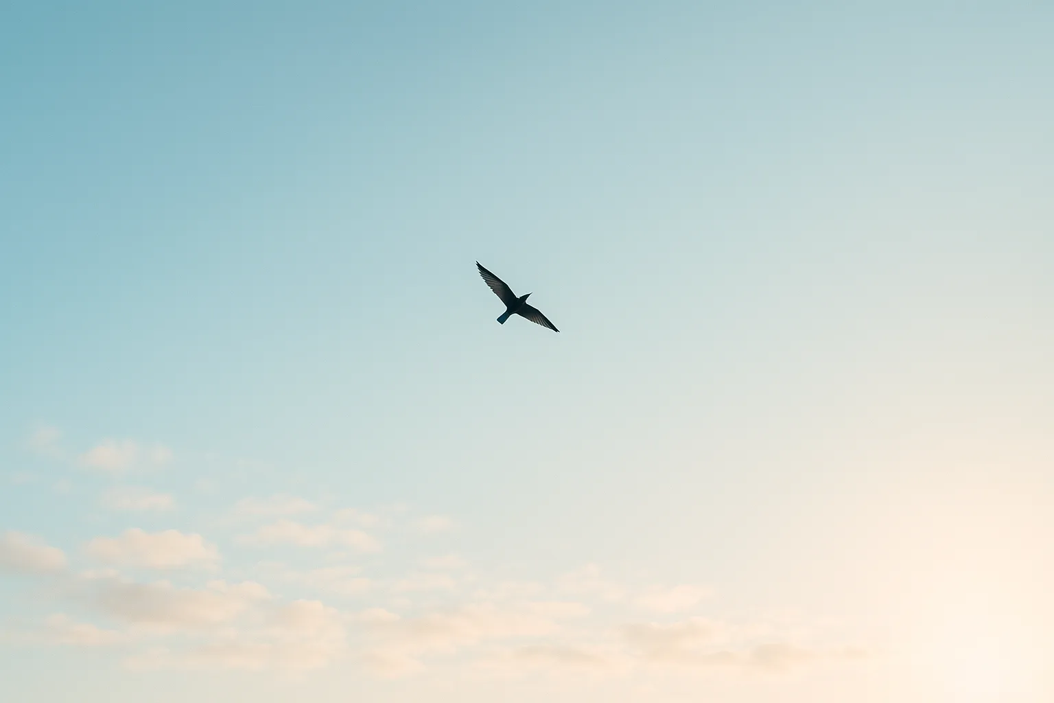 SOAR Therapy — Nan Kurz, PhD, LPC